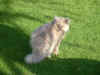 You following me?