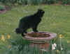 Anyone for a Bath??